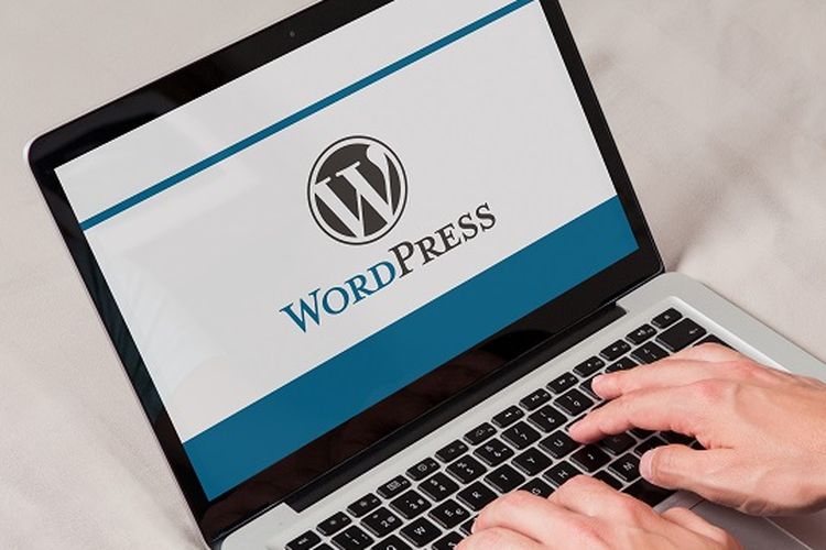 WordPress Bildirim Eklentisi Nasıl Kullanılır?